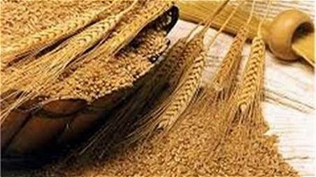  15 تن سبوس گندم قاچاق در ارومیه کشف شد