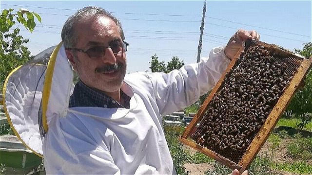 عسل تولیدی آذربایجان غربی به عنوان استان پاک معرفی شد