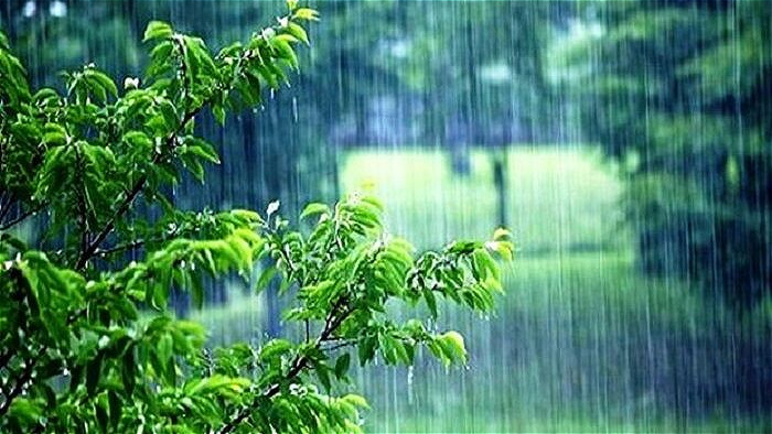 بارش نزولات آسمانی در آذربایجان‌غربی از ۳۰۰ میلی‌متر گذشت
