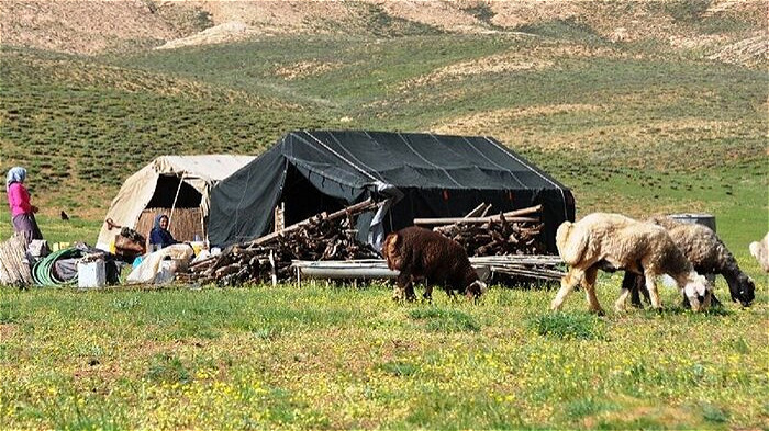 عشایر، بهره‌برداران ۵۵ درصد عرصه‌های منابع طبیعی آذربایجان‌غربی هستند