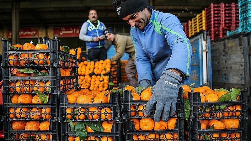 ۴۰۰ تن میوه شب عید در آذربایجان‌غربی تأمین شد