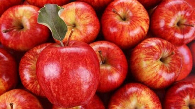 زمینه صادرات بیش از ۷۰۰ هزارتن سیب درختی ذخیره شده در آذربایجان غربی فراهم شود 