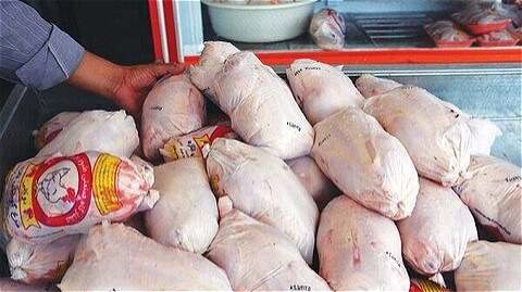 توزیع نزدیک به 500 تن مرغ گرم به مناسبت ماه رمضان 