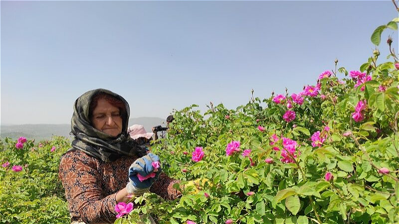 نخستین مزرعه گردشگری آذربایجان غربی در نقده راه‌اندازی می‌شود