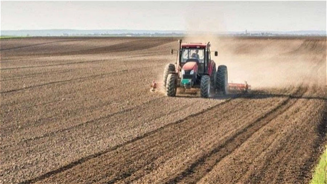  ۳۷۴ هزار هکتار از اراضی آذربایجان غربی زیر کشت گندم پاییزه رفت