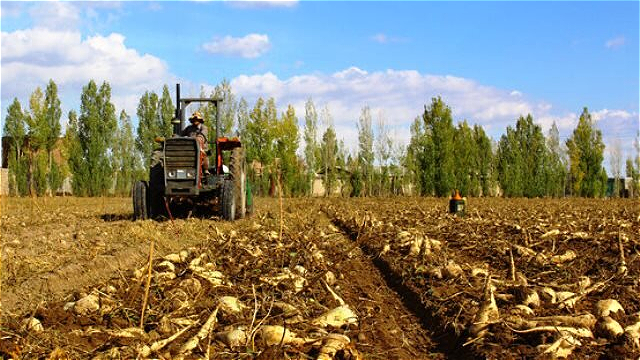 گسترش سامانه‌های آبیاری نواری در اولویت‌ چغندرکاران استان باشد