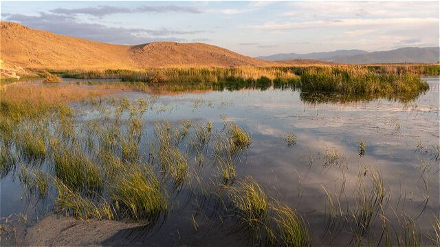 ارتقای جایگاه تالاب سولدوز نقده در دستور کار است