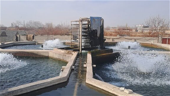 خدمات مرکز تحقیقات آرتمیا در شرایط جنگی تعطیل‌ناپذیر است