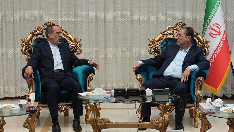 تمرچین گذرگاهی امن برای زائران بین المللی اربعین حسینی