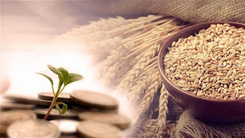 جمع‌آوری ۸۸ میلیارد تومان زکات در دو ماهه نخست سال در آذربایجان‌غربی