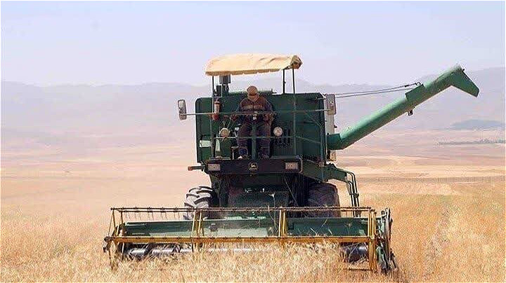 آغاز فصل برداشت جو در آذربایجان‌غربی