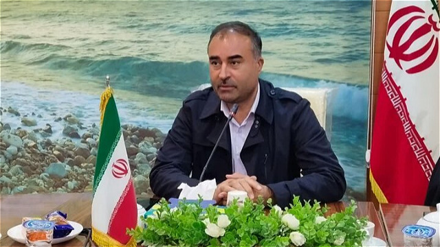  افزایش بهره‌وری گندم دیم نیازمند برنامه‌ریزی علمی و نقشه راه دقیق است