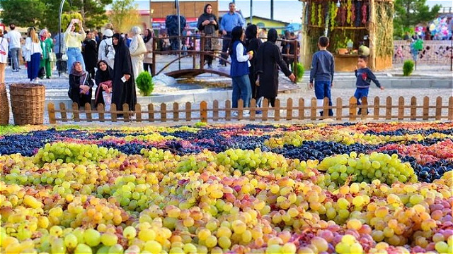 جشنواره انگور ارومیه ظرفیتی برای جذب سرمایهگذار در حوزه گردشگری است