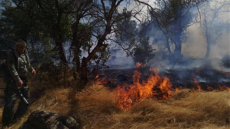آتش‌سوزی ساحل روستای رشکان در پارک ملی دریاچه ارومیه مهار شد