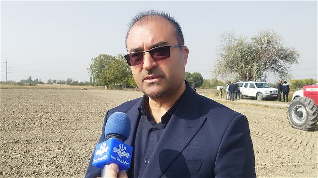 گندم پاییزه در بیش از ۴۱۵ هزار هکتار از اراضی آذربایجان غربی کشت شد